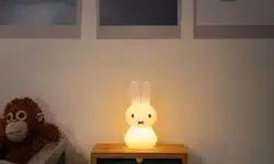 miffy shines veilleuse enfant tactile