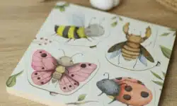 puzzles insectes papillons