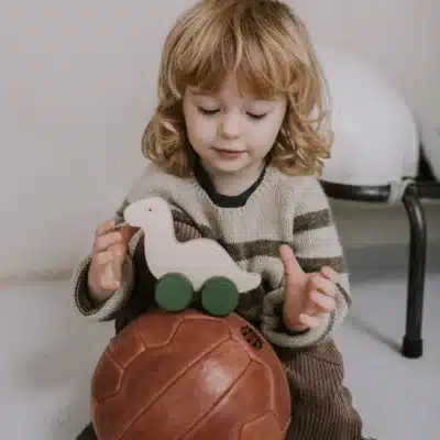 Jouet en bois : dino à roulettes