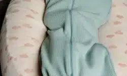 emmailloteuse_sauge tante reine