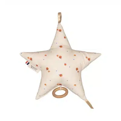 Mellipou : boite à musique étoile noisette Harry Potter