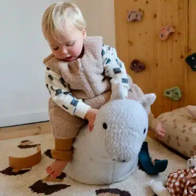 Tante Reine : gigoteuse hiver teddy à pieds 1-2 ans