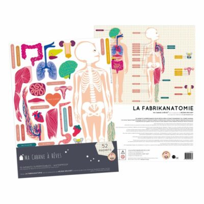 Ma cabane à rêves : jeu magnétique anatomie